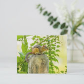 Chipmunk op een Fence Post Briefkaart (Staand voorkant)