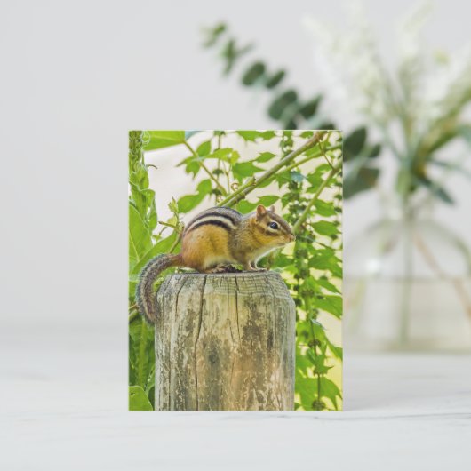 Chipmunk op een Fence Post Briefkaart (Staand voorkant)