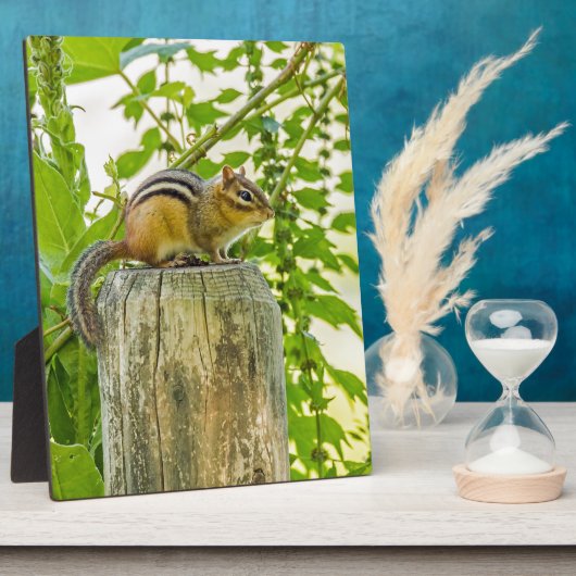 Chipmunk op een Fence Post Fotoplaat (Zijkant)