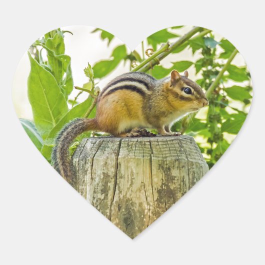 Chipmunk op een Fence Post Hart Sticker (Voorkant)