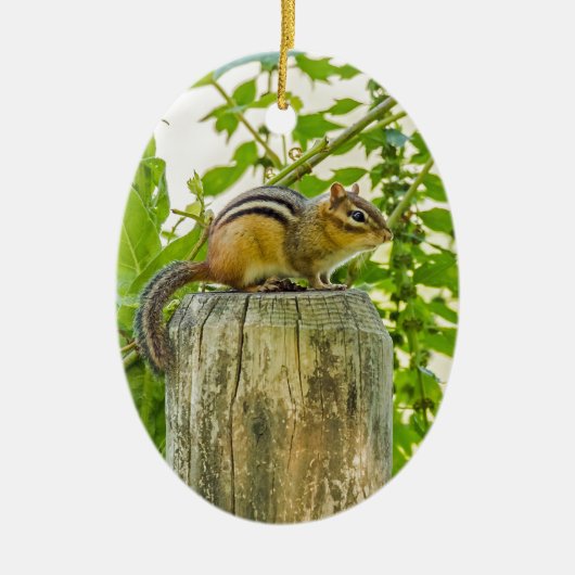 Chipmunk op een Fence Post Keramisch Ornament (Voorkant)