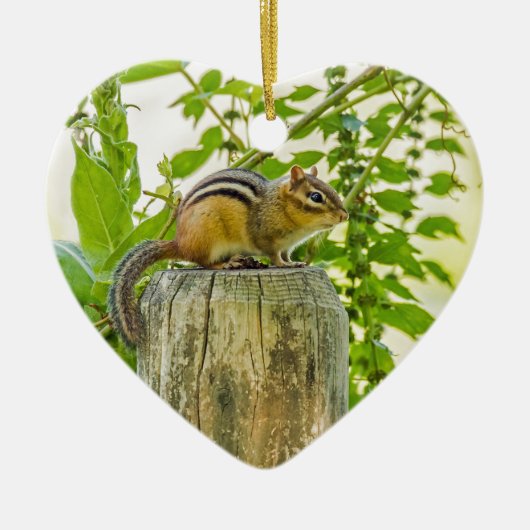 Chipmunk op een Fence Post Keramisch Ornament (Voorkant)