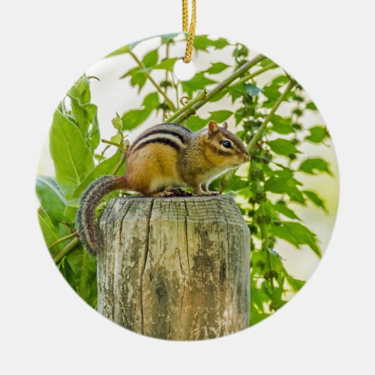 Chipmunk op een Fence Post Keramisch Ornament (Voorkant)