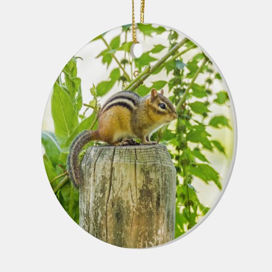 Chipmunk op een Fence Post Keramisch Ornament (Links)