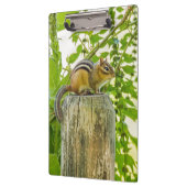 Chipmunk op een Fence Post Klembord (Links)