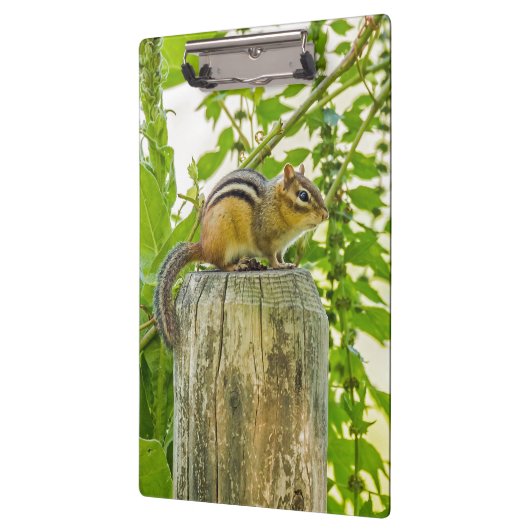 Chipmunk op een Fence Post Klembord (Links)
