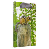 Chipmunk op een Fence Post Klembord (Rechts)