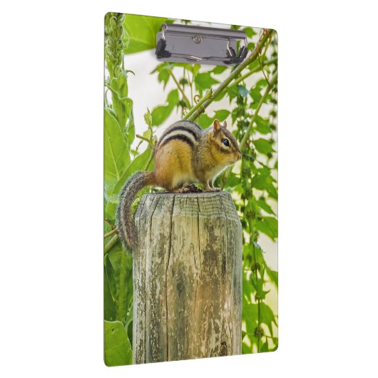 Chipmunk op een Fence Post Klembord (Rechts)