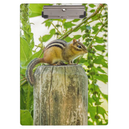 Chipmunk op een Fence Post Klembord