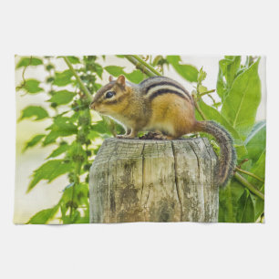 Chipmunk op een Fence Post links Theedoek