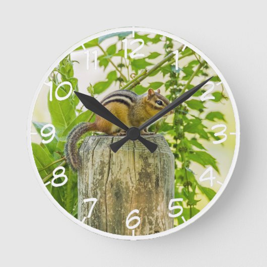 Chipmunk op een Fence Post Ronde Klok (Voorkant)