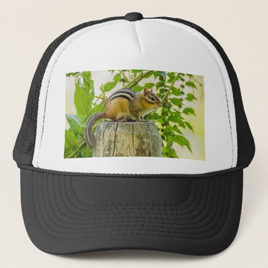 Chipmunk op een Fence Post Trucker Pet (Voorkant)