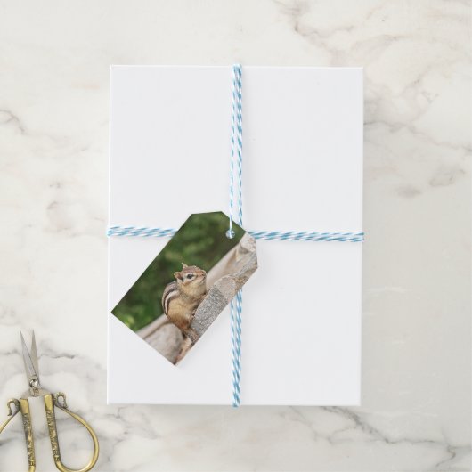 Chipmunk op een rots cadeaulabel (Met Touw)
