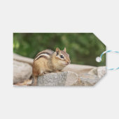 Chipmunk op een rots cadeaulabel (Voorkant (Horizontaal))