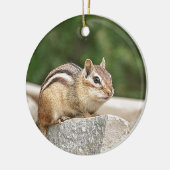 Chipmunk op een rots keramisch ornament (Links)