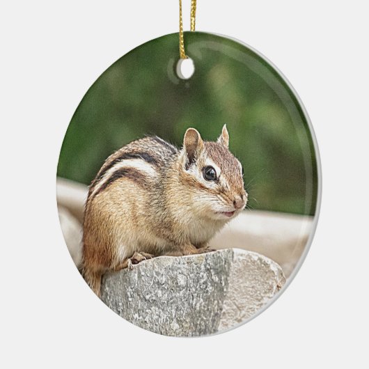 Chipmunk op een rots keramisch ornament (Links)