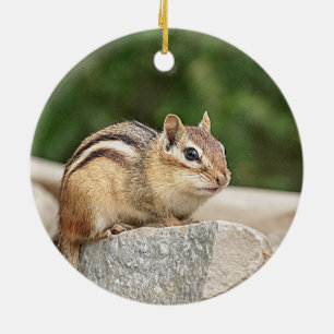 Chipmunk op een rots keramisch ornament