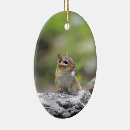 Chipmunk op een rots keramisch ornament (Rechts)