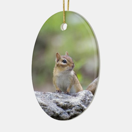 Chipmunk op een rots keramisch ornament (Links)
