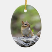 Chipmunk op een rots keramisch ornament (Voorkant)