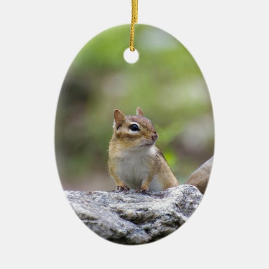 Chipmunk op een rots keramisch ornament (Voorkant)