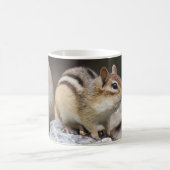 Chipmunk op een rots koffiemok (Center)