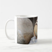 Chipmunk op een rots koffiemok (Links)
