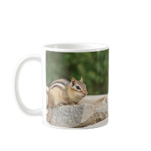 Chipmunk op een rots