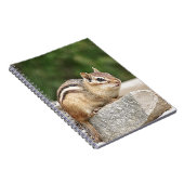 Chipmunk op een rots notitieboek (Rechterzijde)