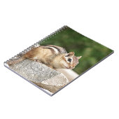 Chipmunk op een rots notitieboek (Linkerzijde)
