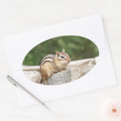 Chipmunk op een rots ovale sticker (Envelop)