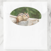 Chipmunk op een rots ovale sticker (Tas)