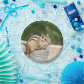 Chipmunk op een rots papieren bordje (Feest)
