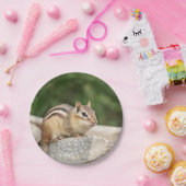 Chipmunk op een rots papieren bordje (Feest)