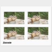 Chipmunk op een rots rechthoekige sticker (Vel)
