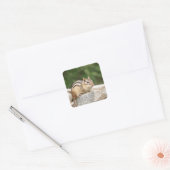Chipmunk op een rots vierkante sticker (Envelop)