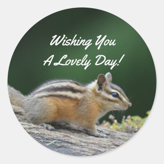 Chipmunk op log ronde sticker (Voorkant)