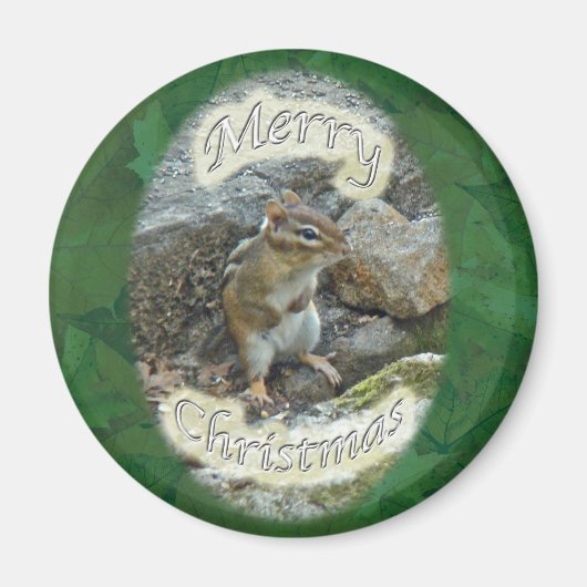 Chipmunk op Rock Items Magneet (Voorkant)