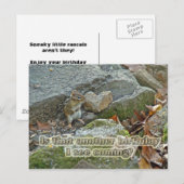 Chipmunk op Rock Items Verjaardag Briefkaart (Voorkant / Achterkant)