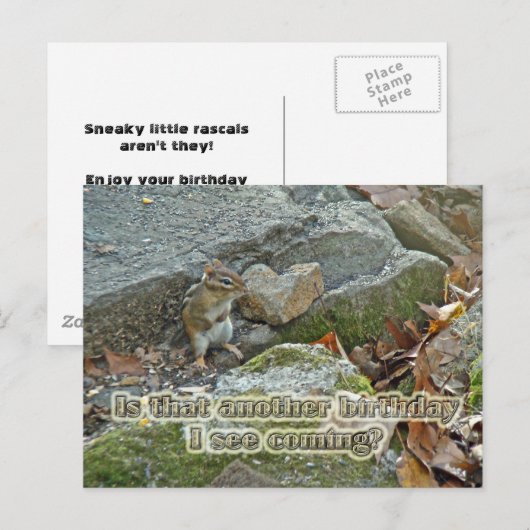 Chipmunk op Rock Items Verjaardag Briefkaart (Voorkant / Achterkant)