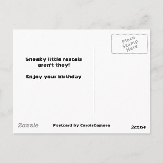 Chipmunk op Rock Items Verjaardag Briefkaart (Achterkant)