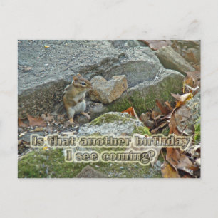 Chipmunk op Rock Items Verjaardag Briefkaart