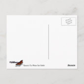 Chipmunk op Two Medicine Lake Overlook Briefkaart (Achterkant)