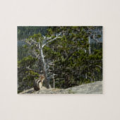 Chipmunk op Two Medicine Lake Overlook Legpuzzel (Horizontaal)