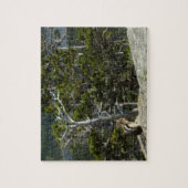 Chipmunk op Two Medicine Lake Overlook Legpuzzel (Verticaal)