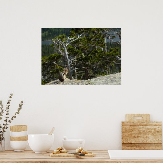 Chipmunk op Two Medicine Lake Overlook Poster (Keuken)
