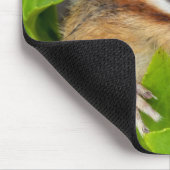 Chipmunk photo (20-1) muismat (Hoek)