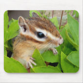 Chipmunk photo (20-1) muismat (Voorkant)