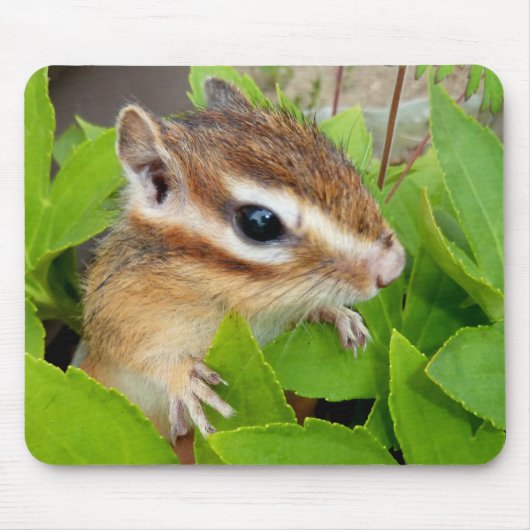 Chipmunk photo (20-1) muismat (Voorkant)