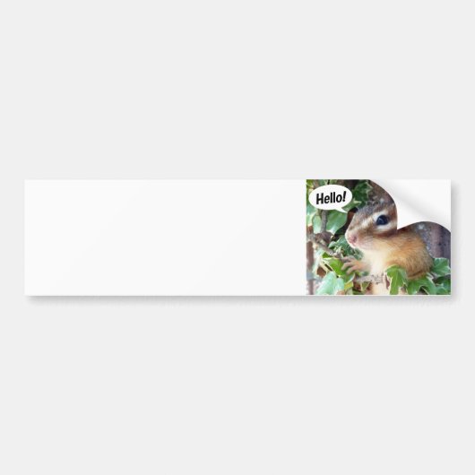 Chipmunk photo (20-4) bumpersticker (Voorkant)